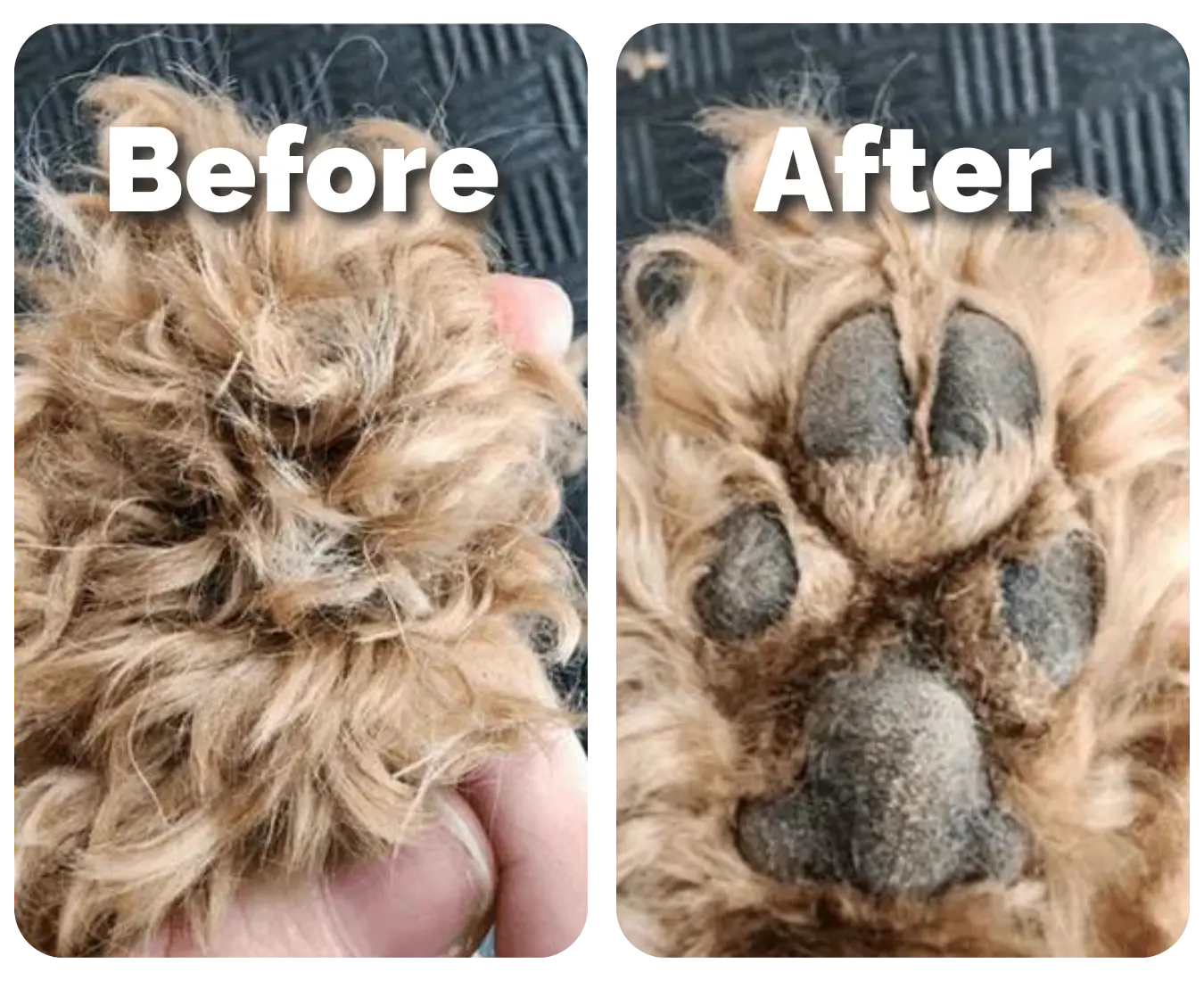 PawFect Trimmer™ | Safe & Easy Pet Grooming at Home