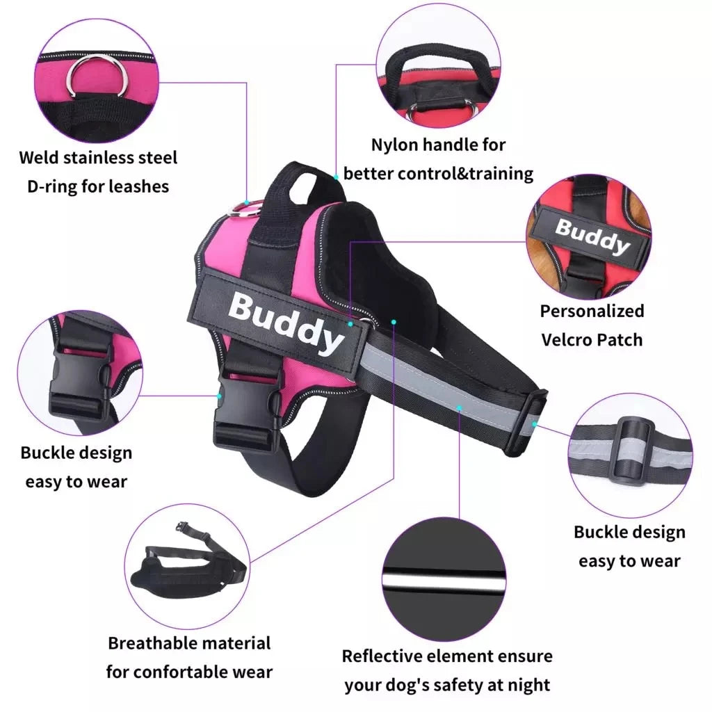 Dog Harness | Comfortable & Secure Walking Solutions