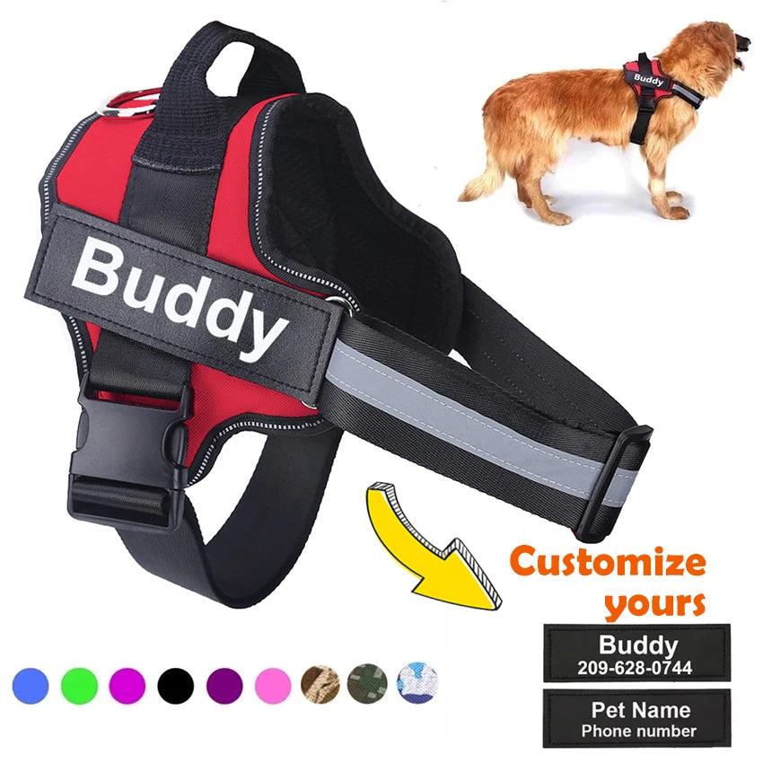 Dog Harness | Comfortable & Secure Walking Solutions