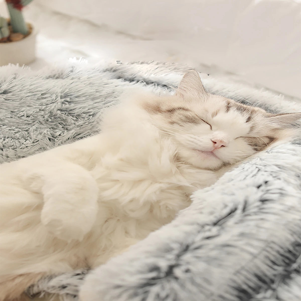 Pet Bed™ | Ultimate Comfort for Your Furry Friend