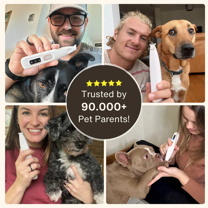 PawFect Trimmer™ | Safe & Easy Pet Grooming at Home