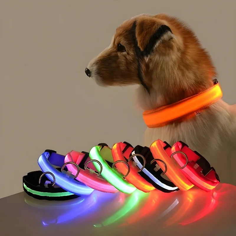 Pawfect Safety Glow™